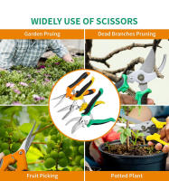 Tijeras De Podar Manuales De 3 Piezas Acero Inoxidable Para Recogida De Flores Y Frutas Herramienta De Jardinería Para Árboles - details 1