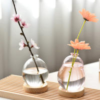 Vaso De Burbuja De Vidrio Nuevo Estilo Nórdico INS Arreglo Floral Moderno Creativo Vaso Sférico Para Decoración De Hogar Regalos De Cumpleaños - details 6