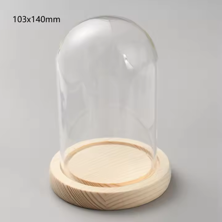 Jarrón De Vidrio Con Base Cloche De Cristal Para Exhibición De Plantas Flores Suculentas Y Almacenamiento Decoración Para Hogar Y Fiestas Navideñas - 1