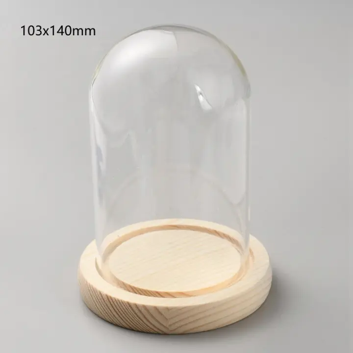 Jarrón De Vidrio Con Base Cloche De Cristal Para Exhibición De Plantas Flores Suculentas Y Almacenamiento Decoración Para Hogar Y Fiestas Navideñas - 1