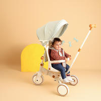 Olmitos - Triciclo Evolutivo de Bebé 5 en 1 EVOL - Bicicleta Niños de 1 a 5 años - De Triciclo a Bicicleta con o sin Pedales – Respaldo, Barra Seguridad y Capota - details 3