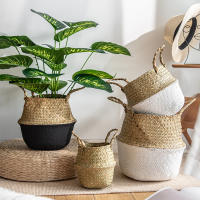 Cesta De Almacenamiento Plegable Estilo Nórdico En Color Verde Para Macetas De Planta Hecha De Paja Y Seagrass Rattan - details 3