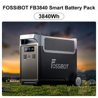 FOSSiBOT FB3840 Batería de Expansión, Paquete de Batería de 3840Wh LiFePO4 para F3600 Pro - details 0
