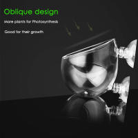 Vaso De Cristal Para Acuario Con Aspiradores Pot Para Cultivar Semillas De Plantas Acuáticas Y Coral Decoración Para Tanque De Peces - details 2