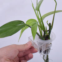 Soporte Ajustable Para Plantas De Acuario 1/2Pcs Planta De Acuario Decoración Para Aquascape Tazas De Plantador Para Tanque De Peces - details 2