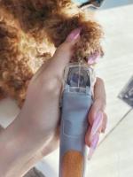 Tijeras De Uñas Para Mascotas Con Luz LED Y Función De Amplificación Herramienta De Aseo Para Perros Y Gatos Material De Acero Inoxidable - details 10