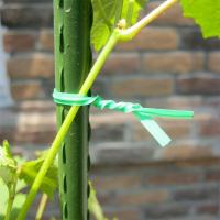 Cable De Jardín De Nylon 100M Amarras Reutilizables Para Poder Y Cable Flor Multi-función Straps Fijador De Alta Calidad - details 4