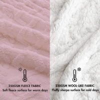 Almeritex Manta Sofa de Borrego, Manta Doble Cara Franela y Sherpa, 100% Poliester, Suave y Caliente para Invierno, 130x160 160x220 220x240 - details 23
