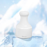 Bola De Masaje Con Hielo Brainbow Para Cuidado De La Piel Del Rostro Y Ojos Herramienta De Enfriamiento Para Belleza Facial - details 3