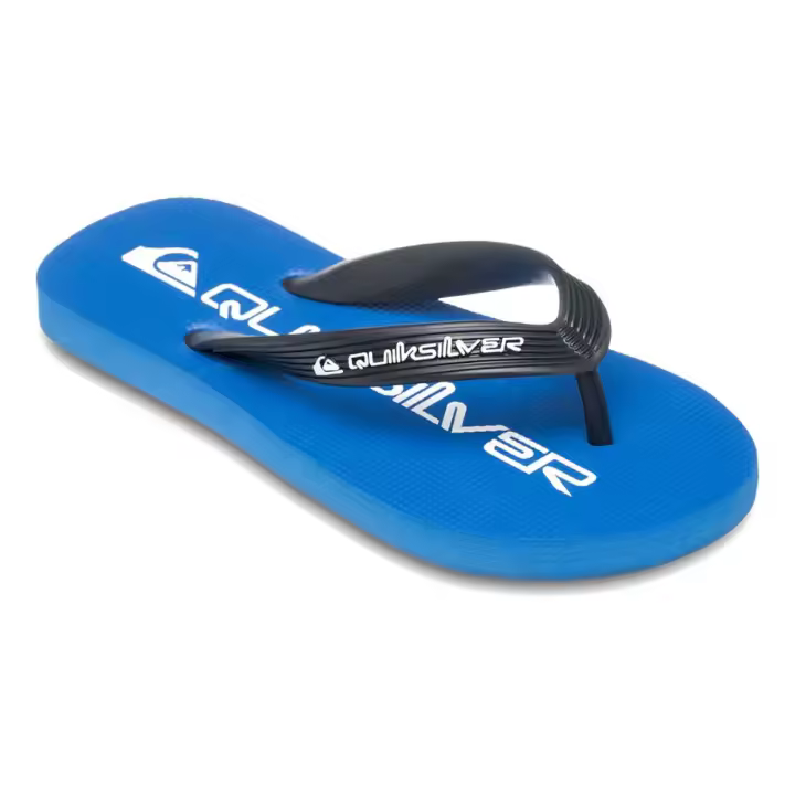 Quiksilver Chanclas Java Wordmark Azul Unisex - 1