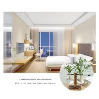 Terrario De Plantas Hidroponicas Vintage Jarrón De Flor Transparente Con Marco De Madera Vaso De Cristal Para Decoración De Hogar Y Bonsái En Mesas - details 9