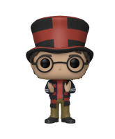 Funko HArry Potter Quidditch World Cup Mundial Summer Convention 120  Exclusivo Special Edition - details 2