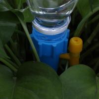 Sistema De Riego Automático Para Plantas Y Flores En Interiores 1/12 Pcs Con Agujas De Rociado Manual Plástico Para Botella - details 3