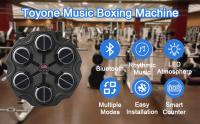 Máquina de boxeo musical para niños, máquina de boxeo musical de montaje en pared para el hogar, entrenador de boxeo musical inteligente con Bluetooth para montar en la pared para ejercicios en casa de niños adultos, equipo de entrenamiento de boxeo elect - details 0