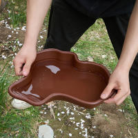 Piscina De Baño Para Reptiles Tazón De Terrario Plato De Alimentación Grande Para Tortuga Hamster Geckó Láser Accesorio De Hogar Para Dragones Barbudos - details 4