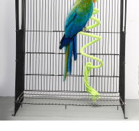 Juguete Para Pájaros Aleatorio Colorido Perro De Imitación De Cuerda Colgante Para Masticar En Jaula De Pájaros Juguete De Mordida Para Cacatúa Entrenamiento - details 5