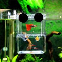 Incubador De Acuario Multifuncional Con Alcance Claro Para La Cría Y Aislamiento De Peces Tanque Para Guppies De Hatching Doble - details 1