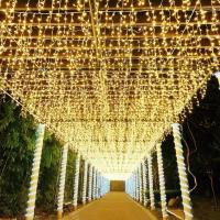 Guirnalda De Luces LED Para Exterior 4x0.6m Decoración Navideña Para Patio Fénix De Hadas Cortina De Luces Para Bodas Y Jardines - details 3