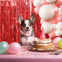 Juego De 1 Pieza De Cortina De Foil Dorado De 9.8 Pies Para Fondo De Fotografía De Cumpleaños Decoración De Fiesta Streamers De Aluminio - details 30