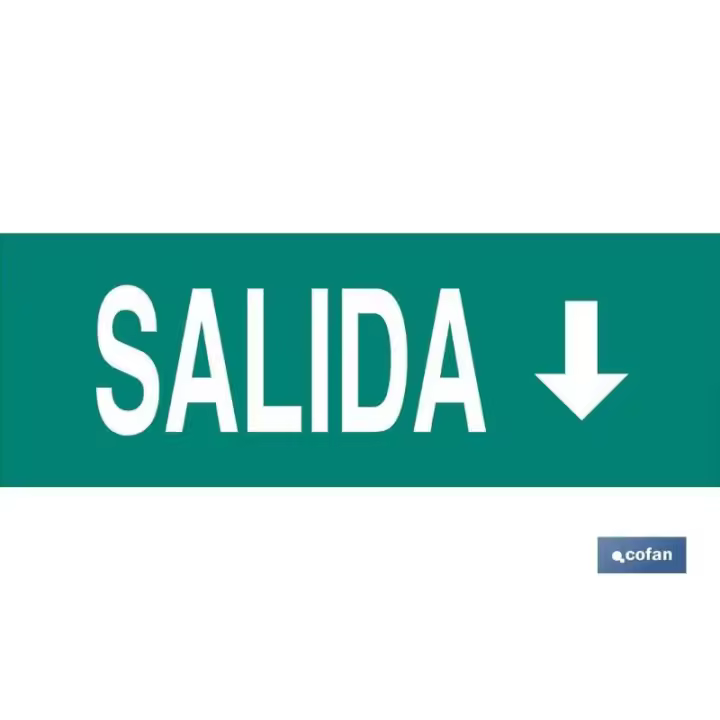 Señal luminiscente 400x100mm. señal salida abajo - 1