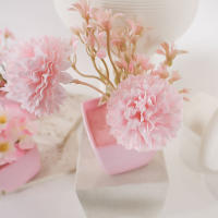 Juego De 3 Macetas Para Decoración Del Hogar Estilo Flor Bonsái Material Plástico Uso Interior Decoración De Aniversario Y Fiestas - details 3