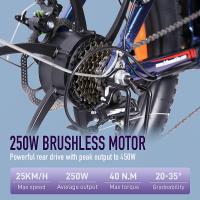 Bicicleta eléctrica Fafrees F20 Pro Neumático grueso de 20 * 3,0 pulgadas Motor sin escobillas de 250 W Velocidad máxima de 25 km / h Engranajes de 7 velocidades con batería de litio extraíble de 36 V 18 AH Alcance máximo de 150 km- Gris - details 2