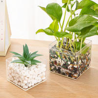 Jarrón De Plástico Transparente Y Minimalista Moderno En Forma De Cuadrado Para Decoración Del Hogar Y Estudio Contenedor De Plantas Hidroponicas - details 2