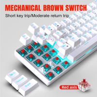 Teclado Mecánico De Juegos HXSJ V800 65% Mini Con Switches Azul/rojo Intercambiables Y Teclas ABS Doble-shot Iluminación Multi-color Modos De Iluminación Diferentes - details 3