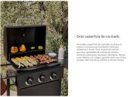 CREATE - Barbacoa de gas 9kW de 3 quemadores y mesa abatible - BBQ GAS BURNER - details 2