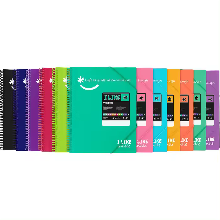 GRAFOPLAS CARPETA 40 FUNDAS MAXIPLAS LIKE2 A4 MANDARINA LIKE2 2x24x30 Cms. - 1