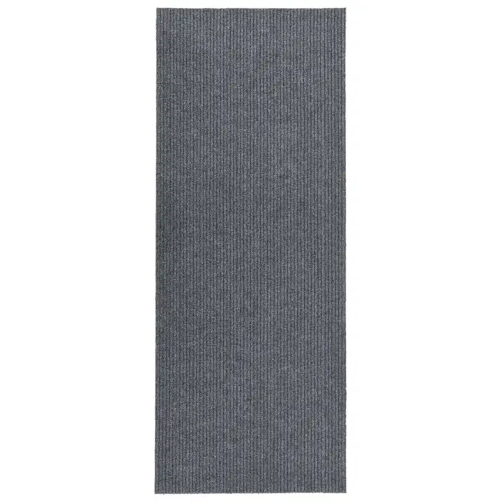 vidaXL Alfombra de pasillo atrapa suciedad 100x300 cm Color Antracita,  Gris,  y mas Alfombras de área  Alfombra de Piso para Sala de Estar Dormitorio Habitación Salón - 1
