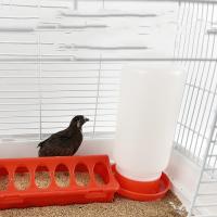 Alimentador Automático Para Pollos Cesta Para Ponedora Gallo Aves De Corral Pato Carne De Aves Suministros De Alimentación Y Agua - details 1