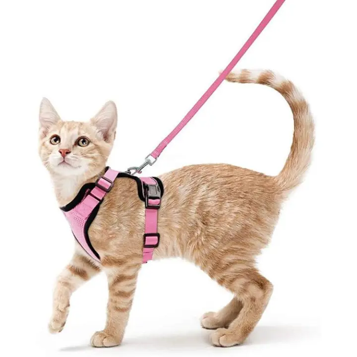 Arnés y correa para caminar, a prueba de escape, suave y ajustable, para gatos, control fácil, transpirable, tiras reflectantes. - 1