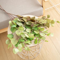 1PC Eucalipto Artificial De 87cm Ramas Largas Para Decoración De Hogar Jardín Bodas Y Fiestas Hojas Sintéticas De Color Verde - details 0
