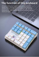 Teclado Numérico Mecánico Con 33 Teclas Y Luz Multicolor Para Finanzas Y Negocios Compatible Con Portátil Tipo De Conexión: Cableado - details 2