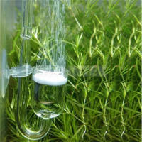 Mini Difusor Co2 De Acrílico En Forma De U Para Acuario Y Tanque De Peces Con Refinador De Dióxido De Carbono Para Plantas Vivas Suministros Para Mascotas - details 2