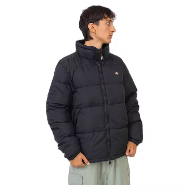 marca Dickies modelo Dk0A4Xp2Blk1 para hombre en color negro - 1