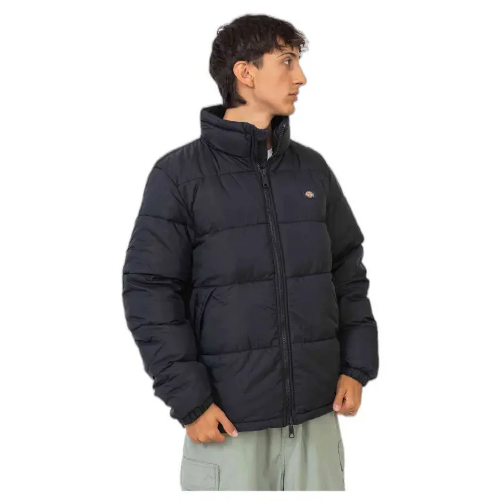 marca Dickies modelo Dk0A4Xp2Blk1 para hombre en color negro - 1