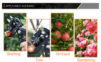 Herramienta De Poda Para Jardín DTBD Con Tijeras De Enraizamiento Para Frutas Y Árboles Herramienta De Corte Y Cinta Antideslizante Metálica Para Agricultura - details 11