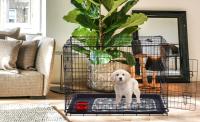 AREBOS Jaula para perros S Caja de transporte para perros Caja celosía plegable - details 37