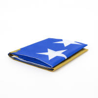 Bandeera De Kosovo 90x150 CM FLAGLINK Para Decoración Material Polyester Estilo Colgante Personalizado - details 5