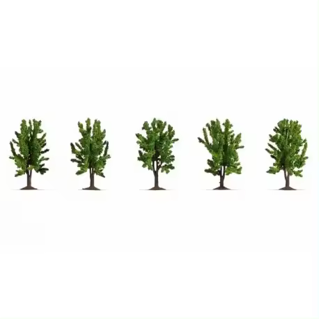 *5 árboles, hoja caduca. - 1
