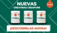 CREATINA CREAPURE MONOHIDRATADA - TORAFOOD - SABOR PIRULETA - 320g - details 0