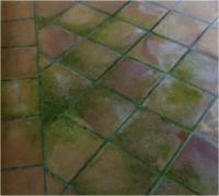 Lipis limpiador de piedra concentrado para eliminar verdín y suciedad en fachadas y piedras - details 0