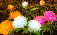 Lámpara De Decoración Solar LED Peonia Impermeable Para Exterior Jardín Patio Escenario De Fiesta Luz De Jardín De Hierba Trasera - details 4