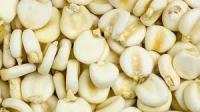 MARCA EL PLEBEYO- MAIZ MOTE 500G- DELICIAS PERUANAS - details 2
