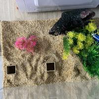 Cueva Subterránea Con Apariencia Natural Para Acuario Escondite Acuático Subyacente Túnel Decoración Para Peces Y Vida Acuática - details 4