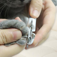 Tijeras De Uñas Profesionales Para Perros Y Gatos En Acero Inoxidable De Doble Color Ahorrador De Esfuerzo Para Belleza Y Limpieza - details 3