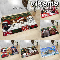 VIKAMA Alfombra Pequeña Decorativa Para El Hogar De Diatomeas Absorbente Antideslizante Para Baño Entrada Cocina Material PVC Resistente Al Desvanecimiento Lavable - details 8