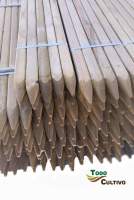 Tutor Madera de Pino tratado de 40x40 mm Pack de 4 uds. de 1,7 m. de Altura. madera pino tratada en autoclave, que le permite introducir dentro de la madera el tratamiento anti pudrición y contra hongos e insectos, con más efectividad y duración - details 0